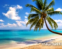 Traumstrand auf Mauritius mit Palmen und türkisfarbener Lagune
